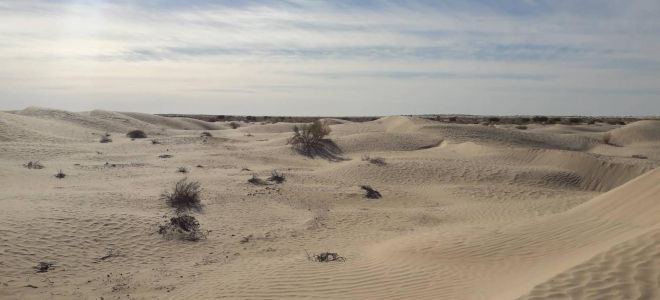 Dunes de sables