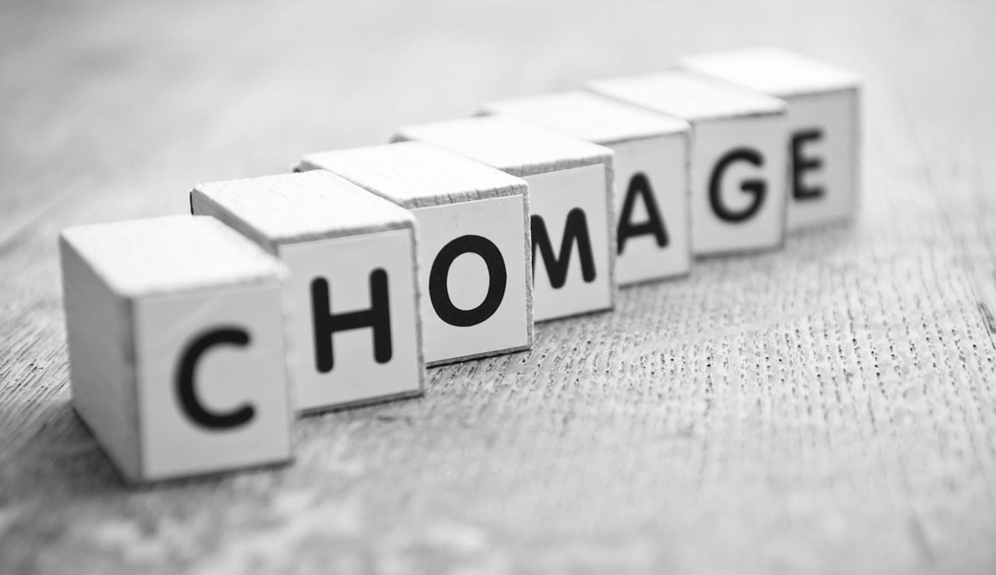 Le taux de chômage augmente à 16,1 La Presse de Tunisie