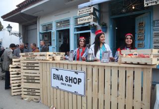 Bna1