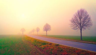brume brouillard