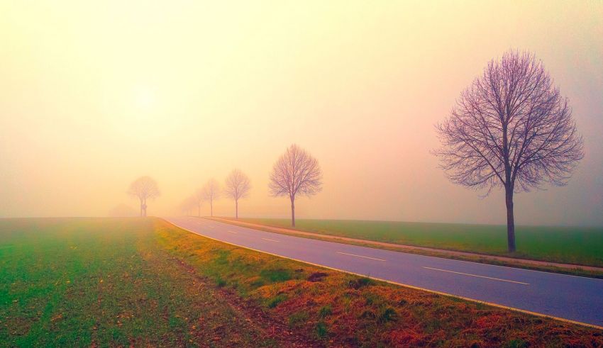brume brouillard