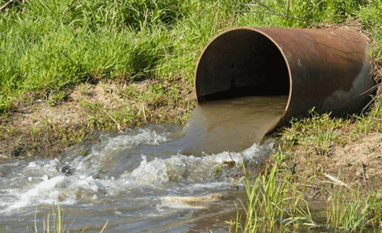 Bizerte : à Utique, des agriculteurs irriguent leurs exploitations avec des eaux usées non traitées