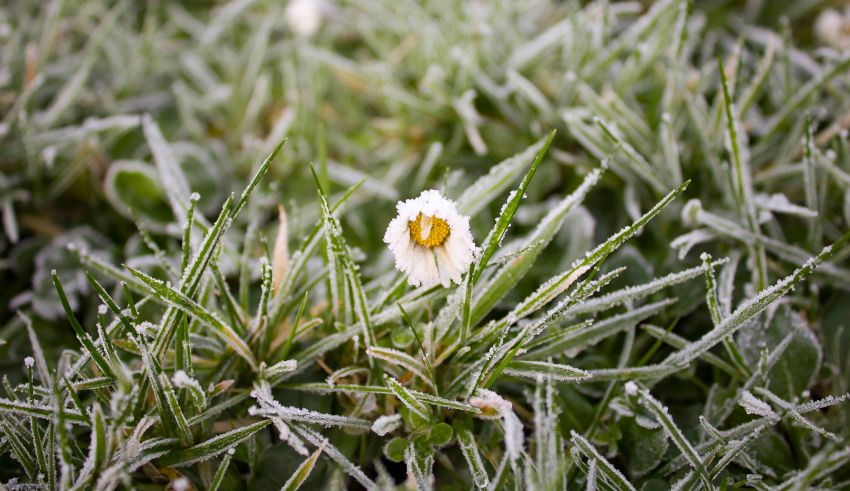 temps froid