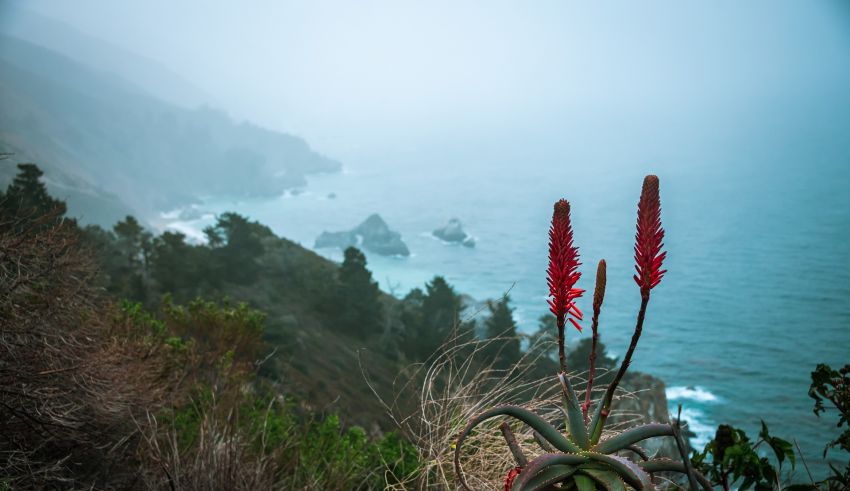Big sur 5950142 1920