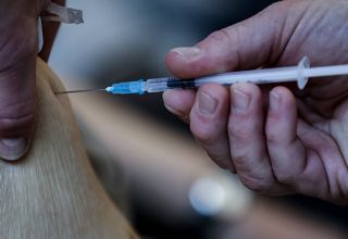 Vaccinsanticovid