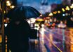 Pluie parapluie