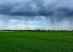 Pluie
