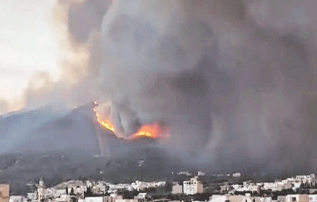 Catastrophe évitée suite à un incendie au jebel boukornine: «La piste criminelle n’est pas écartée»