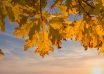Ciel automne