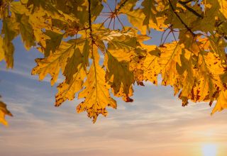 Ciel automne