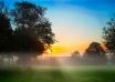 Automne matin