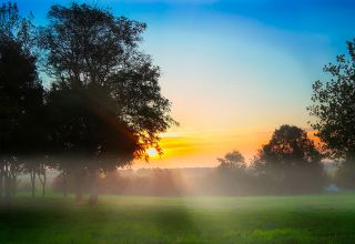 Automne matin