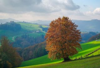 Automne nuages