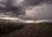 Pluie