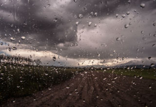 Pluie