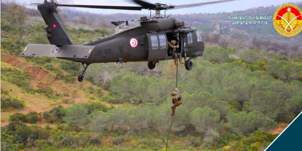 armée de l'air tunisie