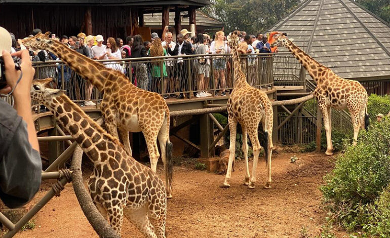 Reportage au Kenya: Une mine d’or à Nairobi