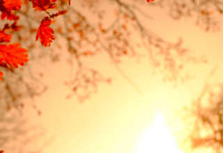 Octobre soleil automne