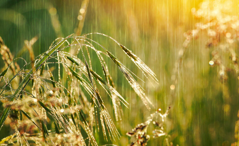 Météo : Temps nuageux cette nuit sur la plupart des régions, pluies attendues sur les côtes Nord