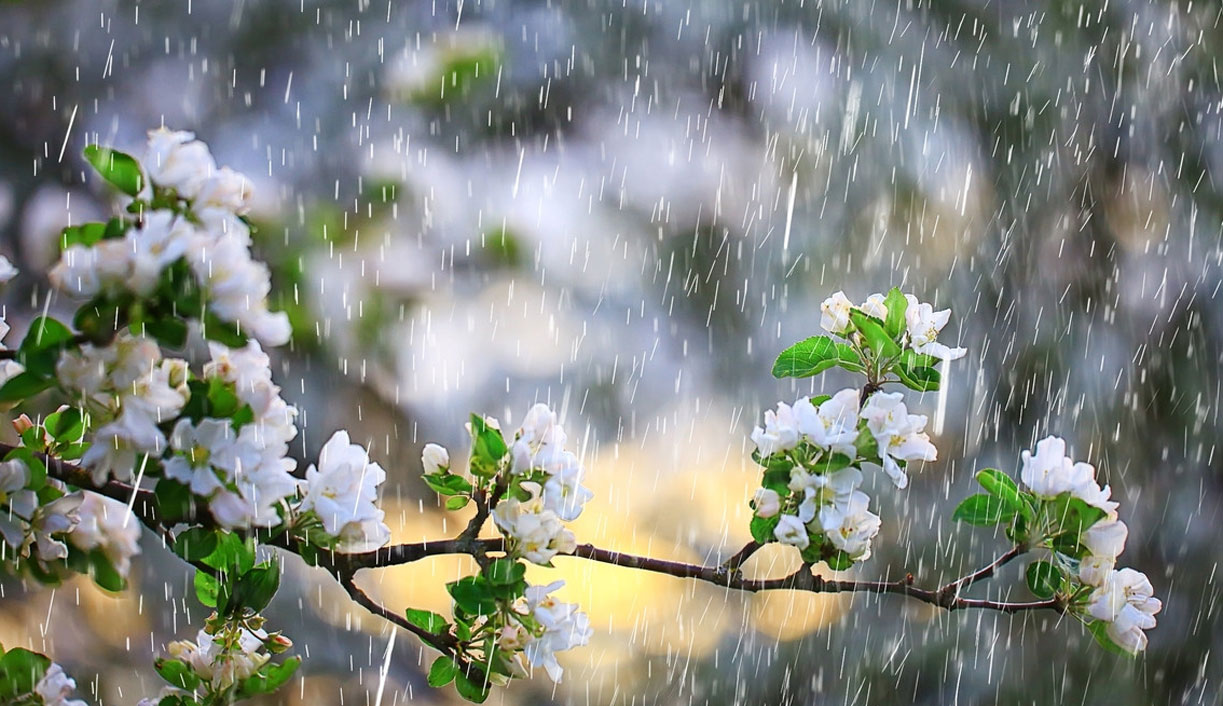 Pluies en Tunisie : les dernières 24 heures en chiffres