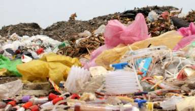 Bio medical waste the aashim chatterjee blog