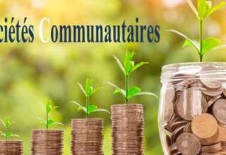 Societes communautaires