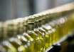 Oliveoil. tunisia