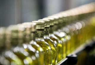 Oliveoil. tunisia