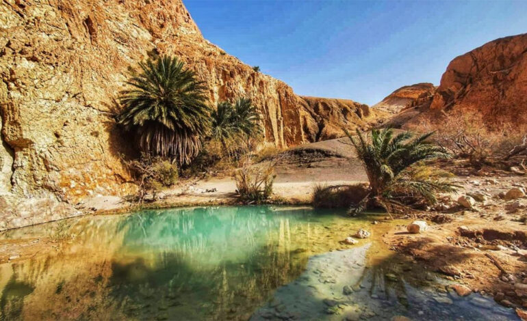 Des hôtels touristiques rouvrent leurs portes à Tamaghza, Nefta et Tozeur