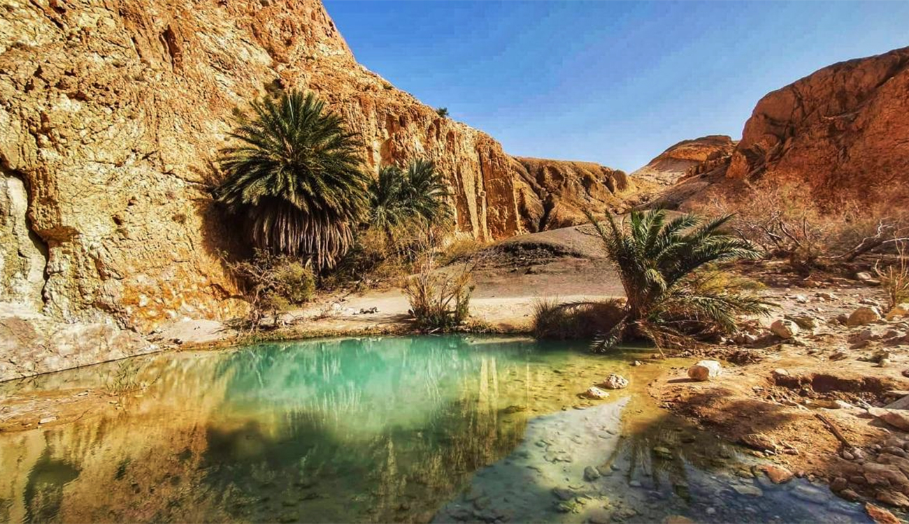 Des hôtels touristiques rouvrent leurs portes à Tamaghza, Nefta et...