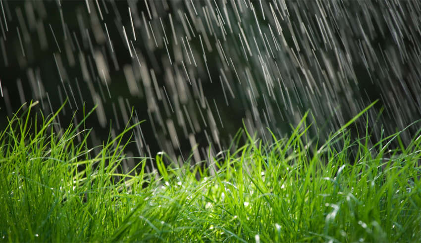 Pluie enregistrer 