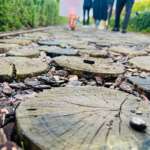 Img 20250930 wa0014