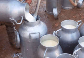 Lait 27 09 2025
