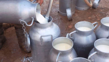 Lait 27 09 2025