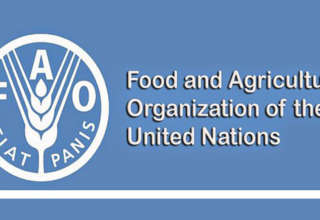 Fao 24 09 2025