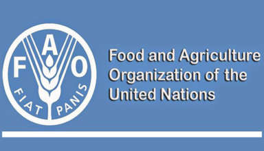 Fao 24 09 2025
