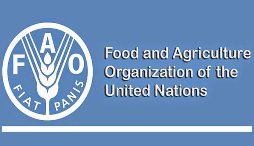 Fao 24 09 2025