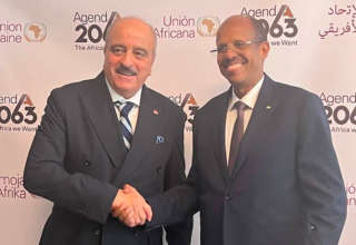 Nafti union africaine onu