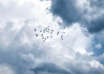 Nuages