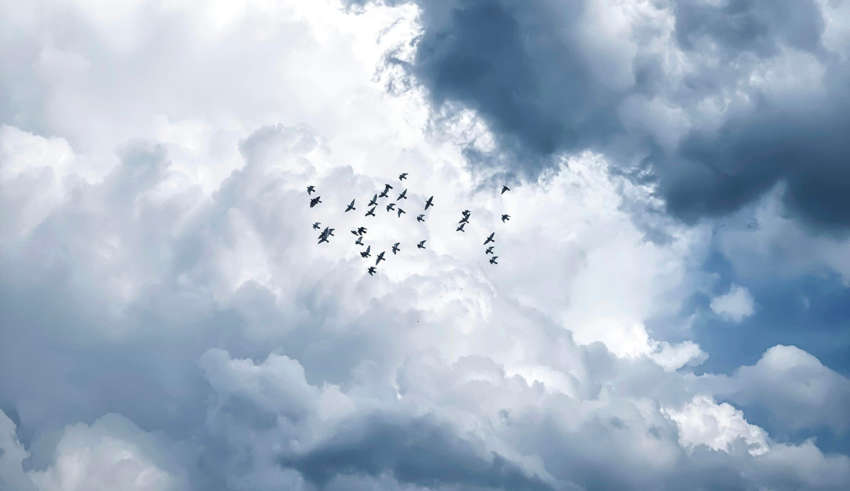 Nuages