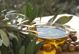 Olive 24 09 2025