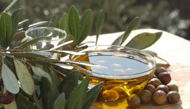 Olive 24 09 2025