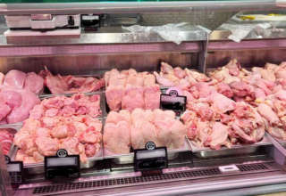 Poulets