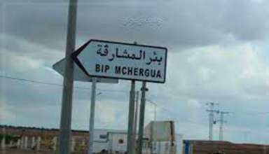 Bir mchergua