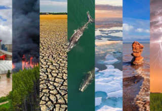Changement climatique