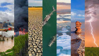 Changement climatique
