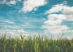 Ciel nuage