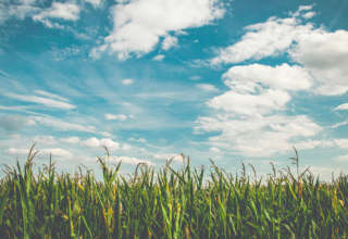 Ciel nuage