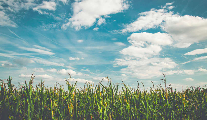 Облачное небо