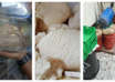 Control alimentaire